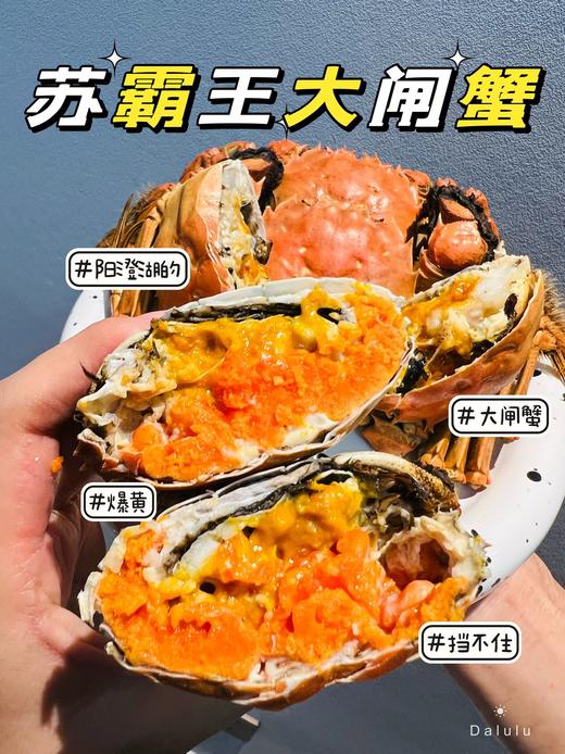 苏霸王 | 阳澄湖大闸蟹，蟹肉鲜甜、黄满流油、吃的就是高品质！！ 商品图0