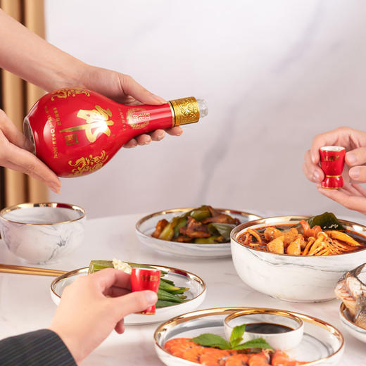 郎酒 53度红花郎酒·红十五(2020版) 500ml单支  瓶装 商品图1