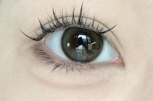 『日抛中直径』TOFFEE-奶油森林-14.2mm【日抛 度数0-800度 无525/575】 商品图6