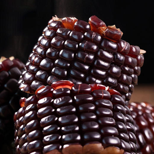 【玉米界的“黑珍珠” 】2025年新茬山西忻州黑糯玉米 约220g/根 软糯香甜 独立包装 黑玉米农产品 常温避光保存 冷藏（0℃-4℃）更佳 商品图3