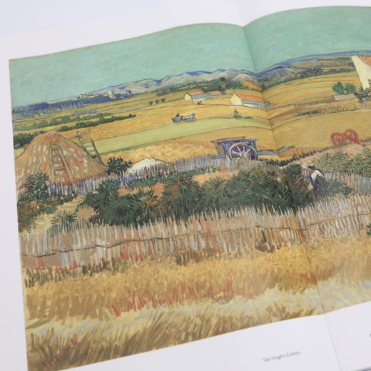 《梵高手稿》 商品图11