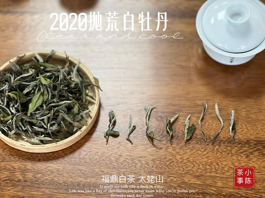 【首发】抛荒白牡丹里的“高挑美人”，无意中捂了3年，2020抛荒白牡丹却长成了温润水滑的俏佳人（80克） 商品图2