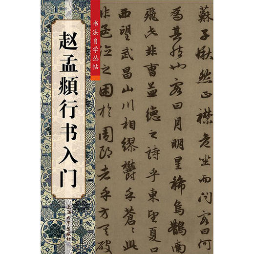 赵孟頫行书入门 商品图0