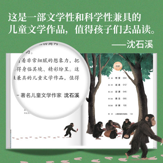 歪歪兔《足迹》沈石溪推荐！给孩子的人类进化史小说，从人类祖先的冒险历程中汲取勇气、力量与智慧 适7-99岁 商品图4