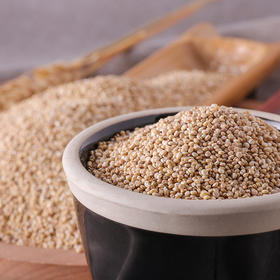 燕之坊 谷母藜麦 230g【蛋糕券价】