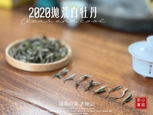【首发】抛荒白牡丹里的“高挑美人”，无意中捂了3年，2020抛荒白牡丹却长成了温润水滑的俏佳人（80克） 商品图3