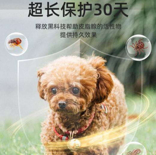 新宠之康贝驱狗狗体外驱虫驱跳蚤虱子蜱虫药犬用非泼罗尼滴剂1支 商品图4