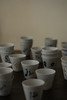 中田雄一 21文字绘杯 商品缩略图0