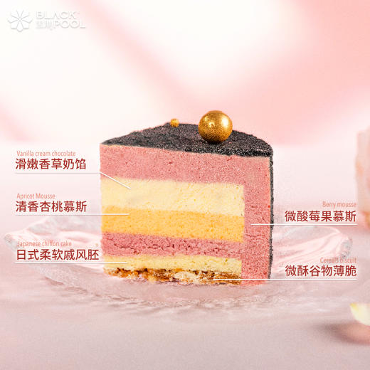 （抖音验券专用）【挚爱喵】香草杏桃莓果慕斯（炫酷黑）验券不成功不发货，选择款式，备注抖音电子券码，下单支付0.01元即可 商品图3