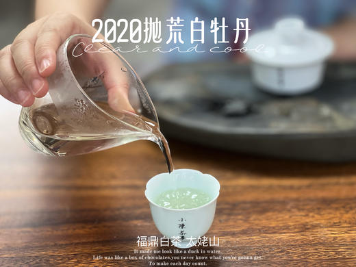 【首发】抛荒白牡丹里的“高挑美人”，无意中捂了3年，2020抛荒白牡丹却长成了温润水滑的俏佳人（80克） 商品图12