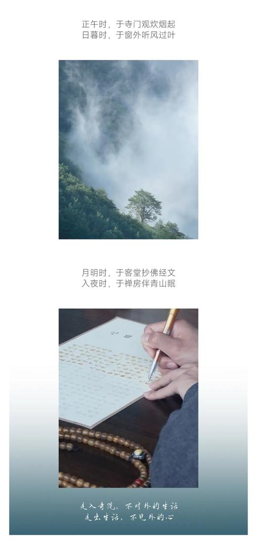 【东方艺术疗愈系列1】峨眉山自然疗愈静修 ｜报国寺+金顶 商品图5