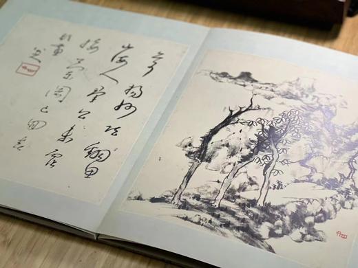 《八大山人山水册》，胡弘杰 编，绸面，经折装开本：787mm×1092mm， 6开，西泠印社出版社2023年7月一版一印。定价360，售价280元。 商品图5