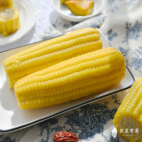 田里有草甜糯玉米（家庭装）（568项农残0检出）