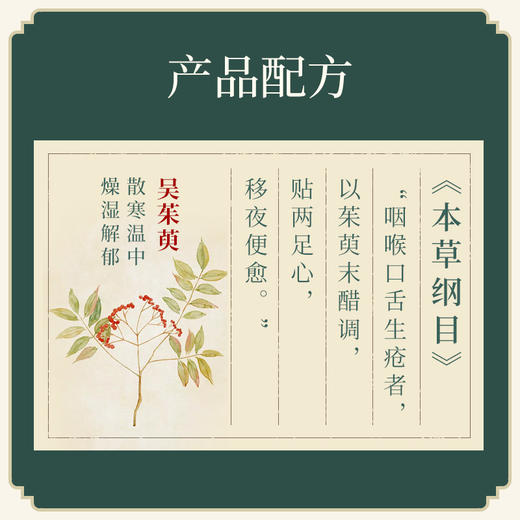 【上病下治】万物本草引火下行·茱萸足贴  吴茱萸 商品图1