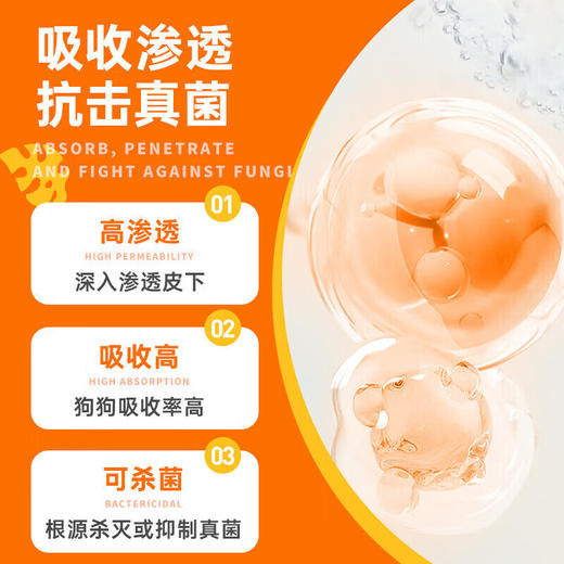 普安特皮普特喷剂宠物真菌喷雾皮肤病猫藓狗藓喷剂100ml/瓶 商品图2