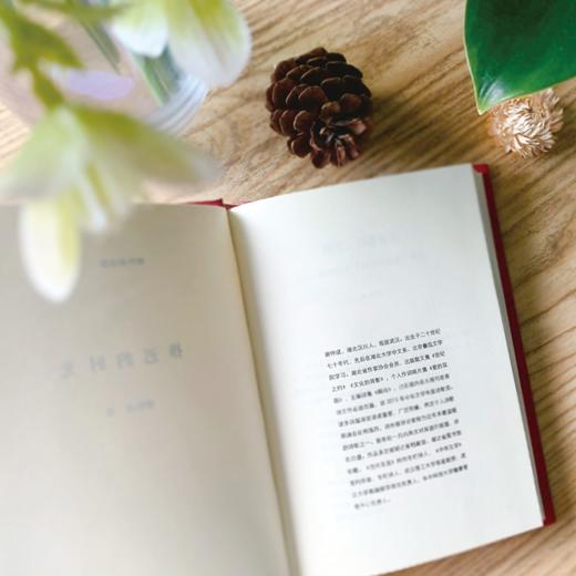 《推迟的时光》谢仲成 著 商品图4