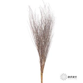 永生花材｜雪草蓝色