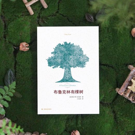 《布鲁克林有棵树》（平装版） 商品图5