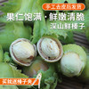 深山去皮鲜榛子  果仁饱满  鲜嫩清脆  口口生香  生榛子  1斤 商品缩略图0