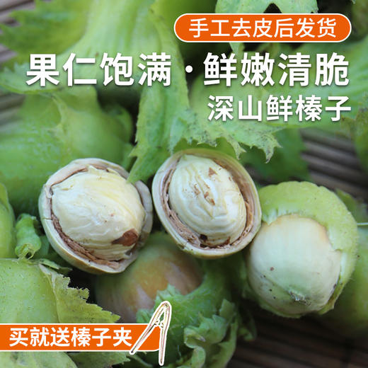 深山去皮鲜榛子  果仁饱满  鲜嫩清脆  口口生香  生榛子  1斤 商品图0