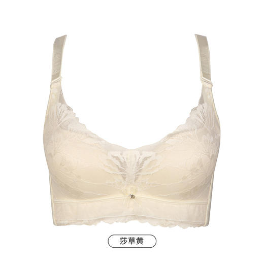 都市丽人舒软挺塑B杯适穿蕾丝调整型文胸中厚款3/4杯塑身文胸无钢圈内衣四排扣LJ34M1 商品图4