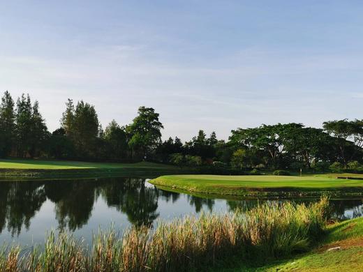 华欣斯普林菲尔德皇家乡村俱乐部 Spring Field Royal Country Club | 泰国高尔夫球场 俱乐部 | 华欣高尔夫 商品图6
