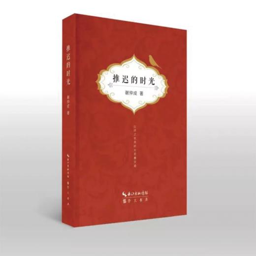《推迟的时光》谢仲成 著 商品图0