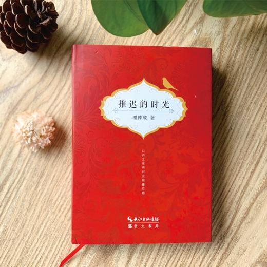 《推迟的时光》谢仲成 著 商品图2