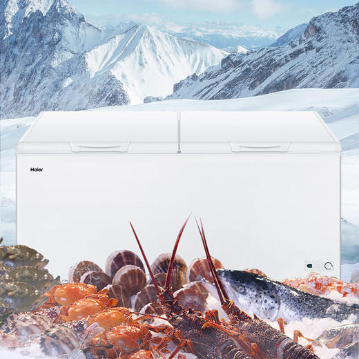 海尔（Haier）518升 卧式 商用家用 冰柜  大容量 冷藏柜 大冷冻柜 PCM钢板防腐内胆 带脚轮 BC/BD-518GHPD 商品图3