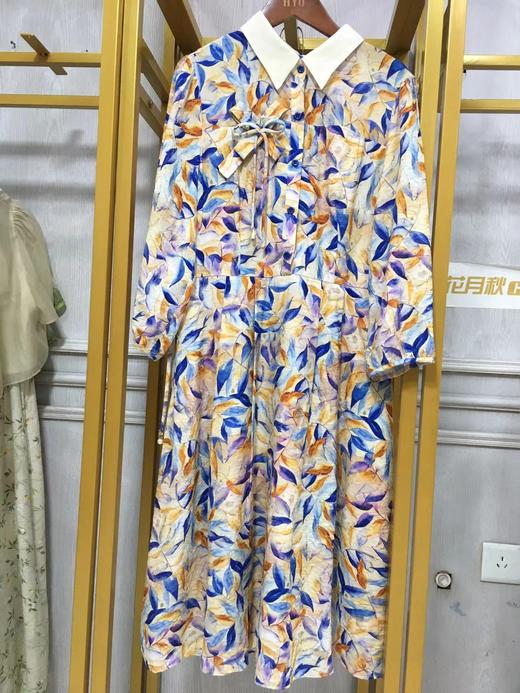 C6104       韩版气质减龄印花收腰显瘦娃娃领连衣裙（特价不退换） 商品图0