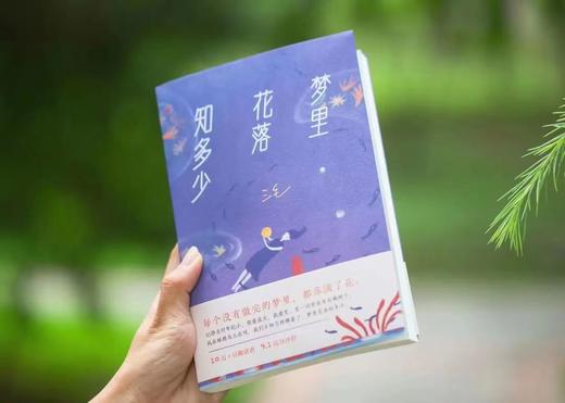 【华语世界永恒的传奇】《三毛作品集》（典藏版5册）| 人生是旷野，不是轨道，看见一个温暖、善意、真实的三毛 商品图4