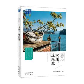 大理 这座城 藏羚羊旅行指南编辑部 著 旅游地图