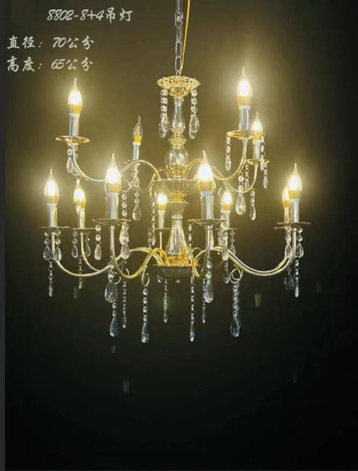 8802-8+4铁艺吊灯【运费自理】 商品图0