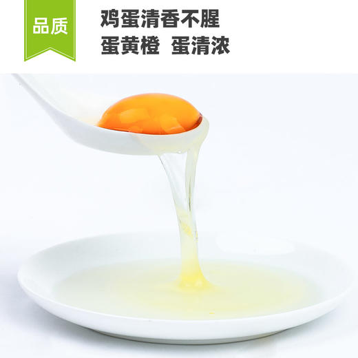 【🔥A级供港品质】德青源无抗鲜鸡蛋 （43g*40枚）1.72kg 商品图3