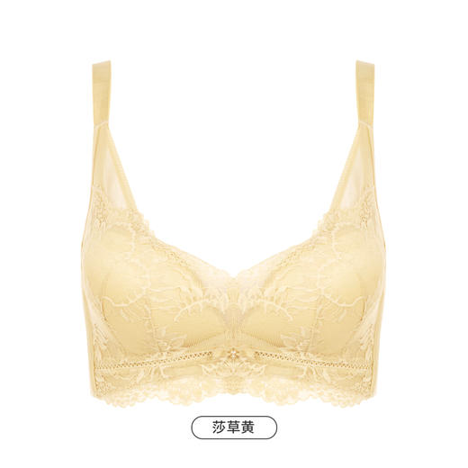 都市丽人舒软挺塑AB杯适穿蕾丝调整型文胸两种厚度3/4杯塑身文胸无钢圈内衣四排扣LJ31M2 商品图4