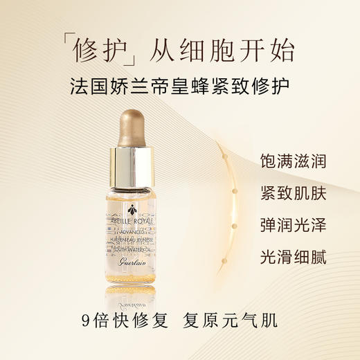 【小样】娇兰帝皇蜂姿焕活复原蜜5ml/102232 滋润修护紧致抗老 商品图2