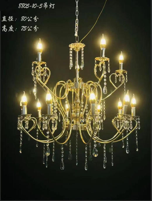 8805-10+5吊灯【运费自理】 商品图0
