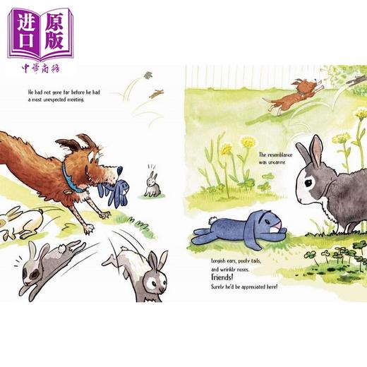 【中商原版】毛绒兔子尼比 Shanda McCloskey Nubby 英文原版 儿童绘本 故事图画书 亲子童书 精装绘本 进口图书 兰登书屋出版 商品图2