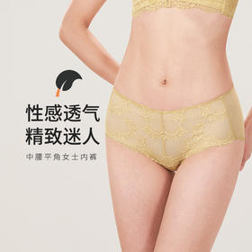 都市丽人舒软挺塑网纱面料中腰平角女士内裤LP39M2