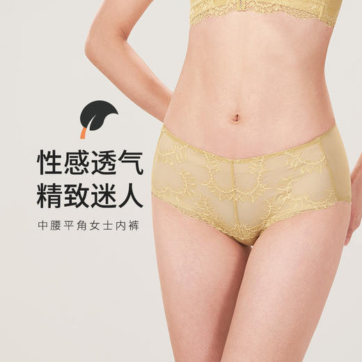 都市丽人舒软挺塑网纱面料中腰平角女士内裤LP39M2 商品图0