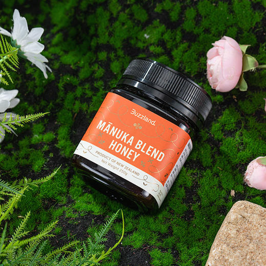 【宠粉价】Buzzland麦卢卡混合蜂蜜250g瓶装 商品图1