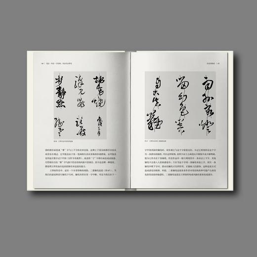 【新书现货】邱振中《笔法·章法·字结构——书法形态研究》 商品图3