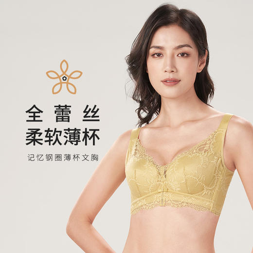 都市丽人舒软挺塑C杯适穿蕾丝调整型文胸超薄款3/4杯塑身文胸无钢圈内衣四排扣LJ33M2 商品图0