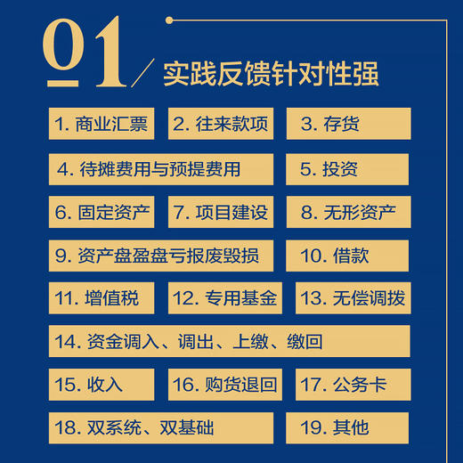 政府会计实务100问 财务工作者高校财务专业政府会计准则制度学习参考日常问题查询用书 实操答疑书 解决日常工作中的问题 商品图2