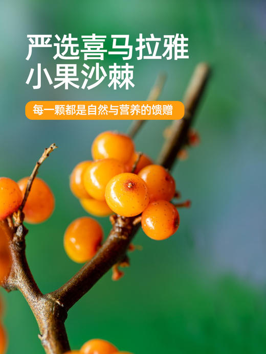 【有机食品】代发 米马生活  有机沙棘原浆工厂直发 30ml*10袋*3盒 商品图4