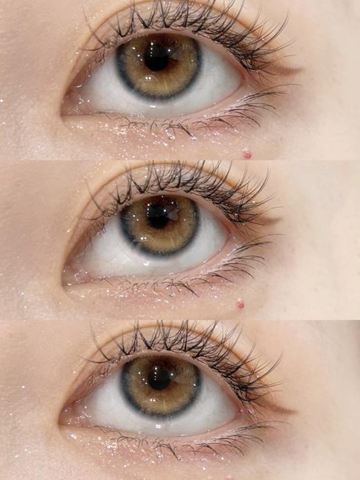 Bollycon日抛新品-Davinci达芬奇 商品图11