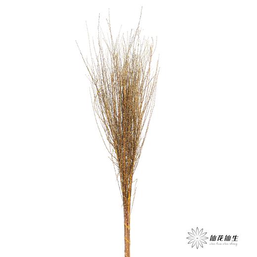 永生花材｜雪草黄色 商品图0