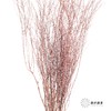 永生花材｜雪草粉色 商品缩略图2