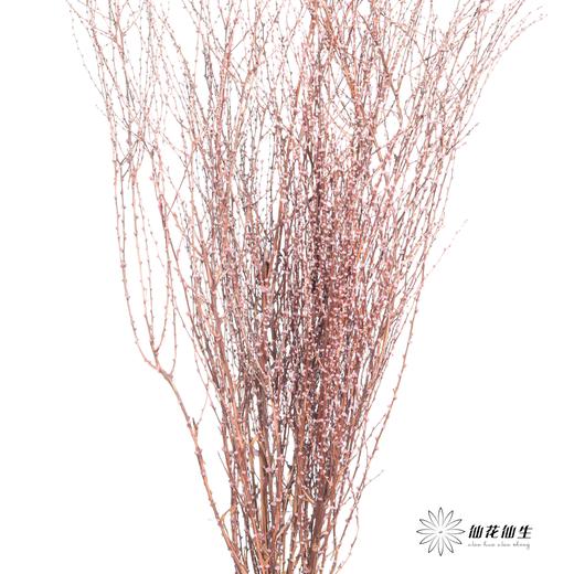 永生花材｜雪草粉色 商品图2
