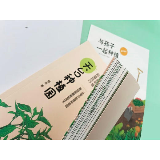 天台种植园 锦鱼 著 家庭园艺 商品图1
